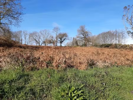 vente terrain 2492 m² à landudec (29710)  85 000 €