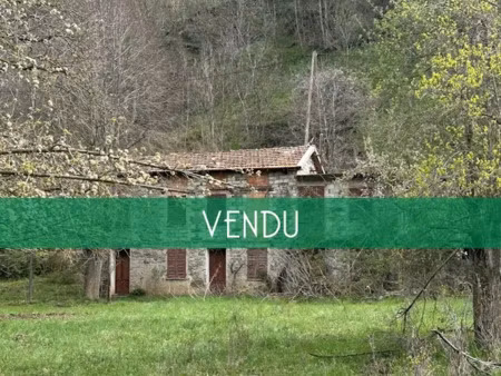 vente maison 8 pièces 120 m² à saint-etienne-de-tinée (06660)  nan €