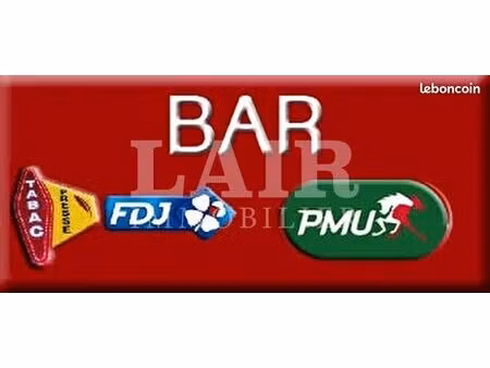 bar  pmu  tabac 240 m² sille le guillaume