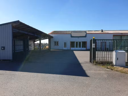 vente commerce 8 pièces 325 m² lagrave (81150)