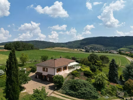 vente maison 8 pièces 205 m² saint-pierre-la-palud (69210)