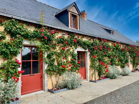 commerce à vendre à saint-pierre-sur-erve (53270) - mayenne