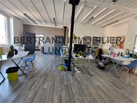 vente luneville proche centre special investisseurs