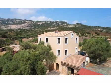 propriété de campagne de prestige de 12 pièces en vente calvi  france