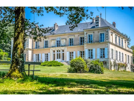 chateau à vendre à jazeneuil (86600) - vienne