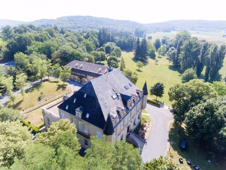chateau à vendre à montignac-lascaux (24290) - dordogne