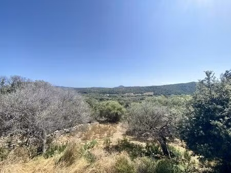 maison de 2 chambres de luxe en vente à monacia-d'aullène  corse