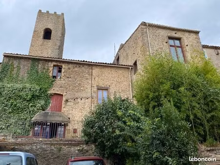 partie d'un château en plein cœur du village