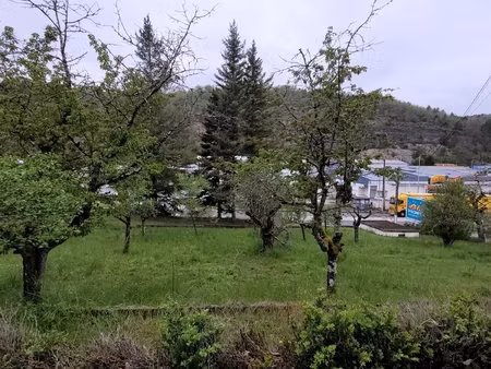 6000 m² de terrain