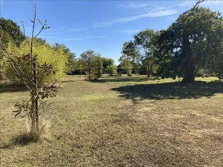 vente terrain 7136 m² civray (18290)