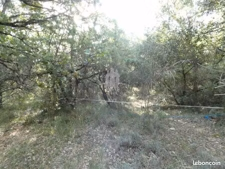 terrain 5 240 m² bargemon