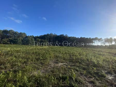 vente terrain moliets-et-maa 40660 - 397000 € - surface privée