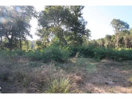 saint paul en born face a la foret