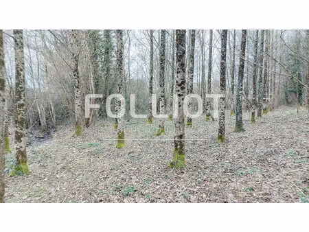 a vendre - terrain hocquigny