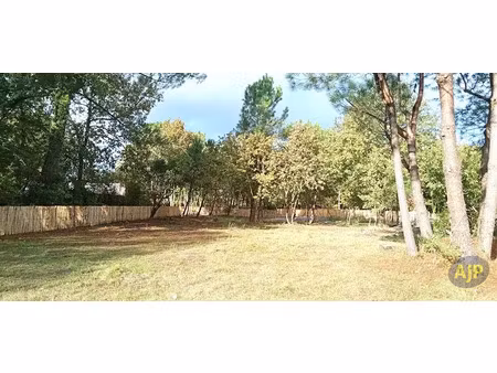 vente terrain 932 m² à le porge (33680)  262 000 €