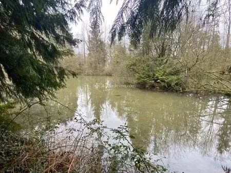 a vendre - etang sur terrain de 7500m² - le ribay - proche mayenne