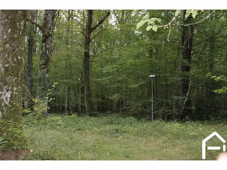 vente terrain 33000 m² merry-la-vallée (89110)