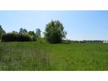 terrain plat de 1281 m²  viabilisé.