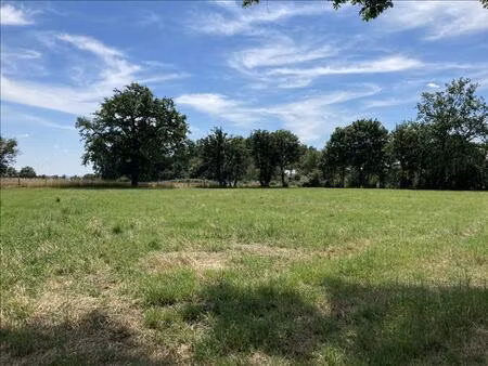 vente terrain 1960 m² nozières (18200)