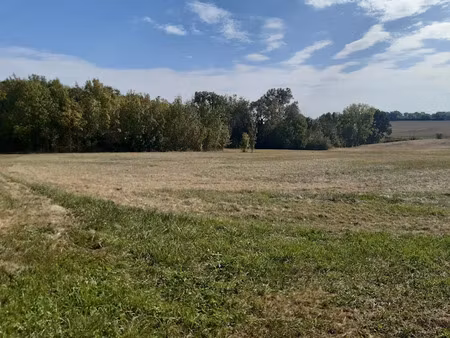 vente terrain 8711 m² à pauilhac (32500)  140 000 €