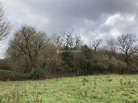 a vendre - pre en pail - terrain boise - 12000 m²