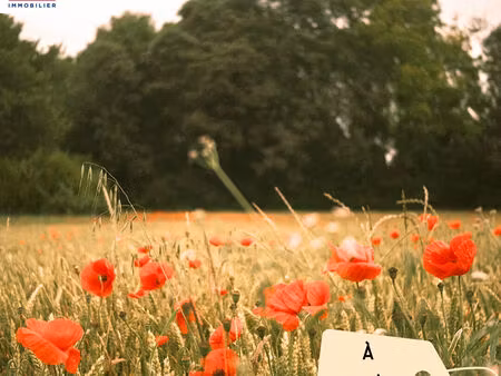 terrain saint magne 547 m²