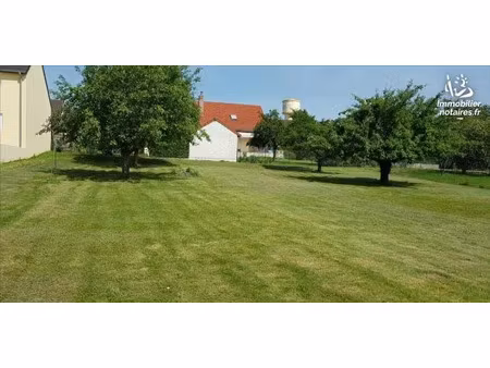 vente terrain 983 m² à saint-martin-d'ablois (51530)  91 000 €