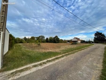 terrain constructible