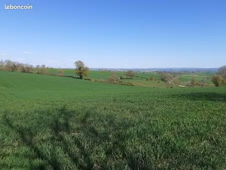 terrain constructible