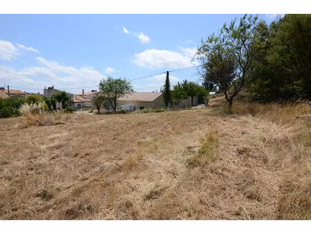 vente terrain 1679 m² caunes-minervois (11160)