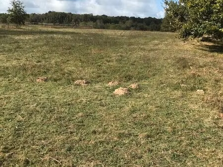 vente terrain à bâtir clerac 17270