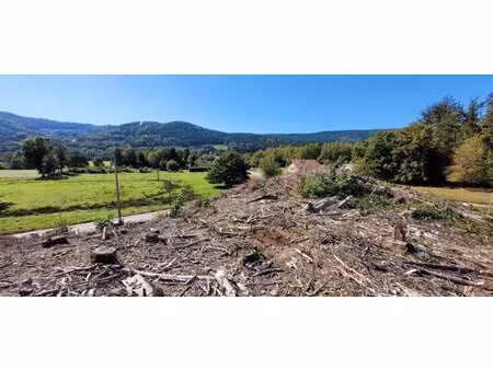 en vente terrain constructible 0 ares – 65 000 € |dommartin-lès-remiremont