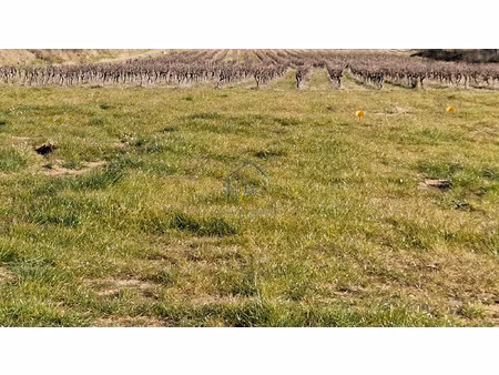 terrain de 697m2 en vente à pouzols (34)