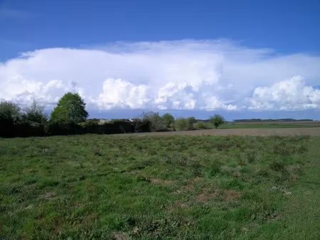 à vendre proche d'hagetmau (40) : terrain constructible de 1
