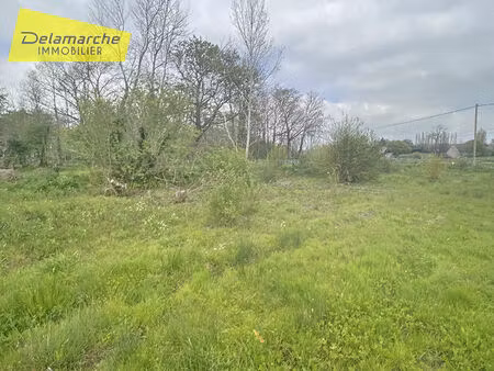 terrain hauteville sur mer 753 m2