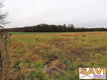 terrain constructible