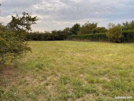 terrain viabilise a batir