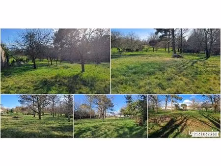 terrain constructible