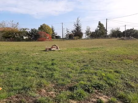 terrain constructible