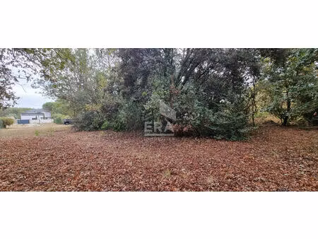 le taillan medoc - terrain constructible 572 m2 - lotissement - libre de constructeur