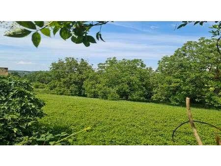 les eyzies - terrain constructible de 1730m² sur les hauteurs avec vue dégagée