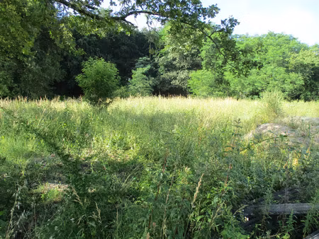 vente terrain 1541m2 montendre 17130 - 46500 € - surface privée