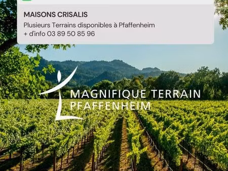 terrain 473 m² pfaffenheim