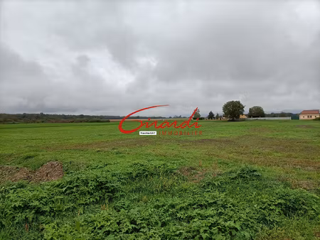 reguisheim ( 68890) terrain de construction de 450 m2 viabil