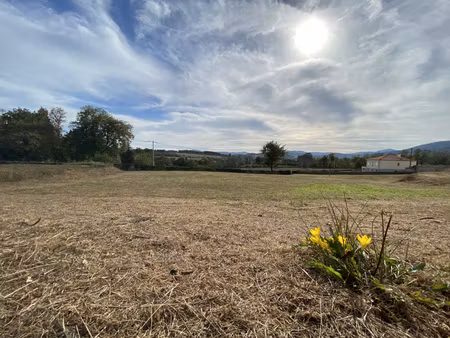 roiffieux - terrain a batir - expo sud - vue sur la campagne