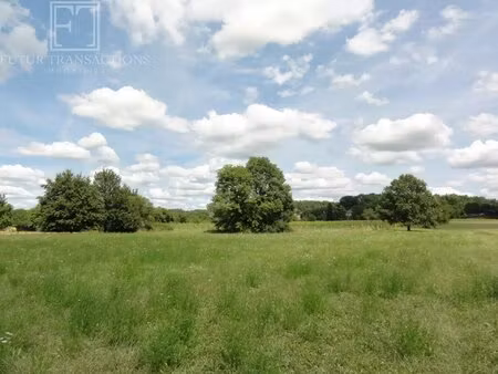 terrain constructible