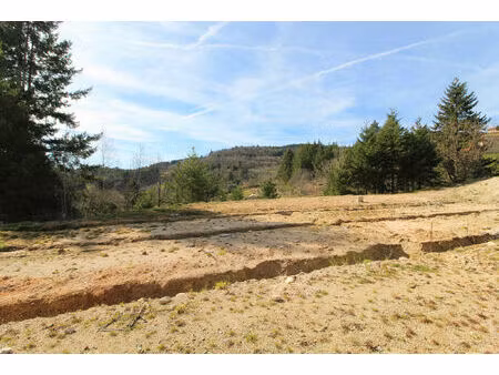vente terrain 2600 m² saint-haon-le-vieux (42370)