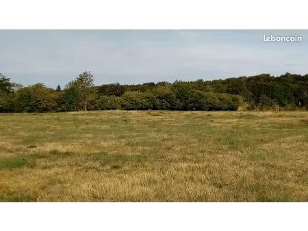 3 terrains viabilises