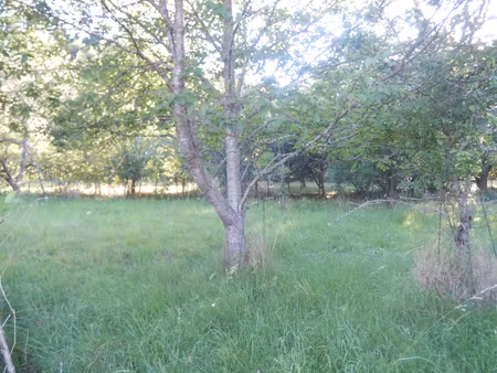 saint symphorien de marmagne - terrain constructible de 1173 m².