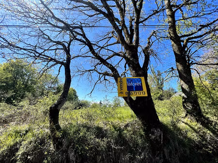 salmiech  terrain constructible d'environ 1410 m² .